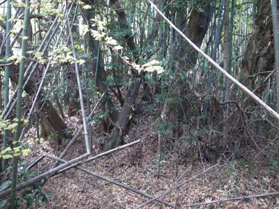 R0012705.JPG