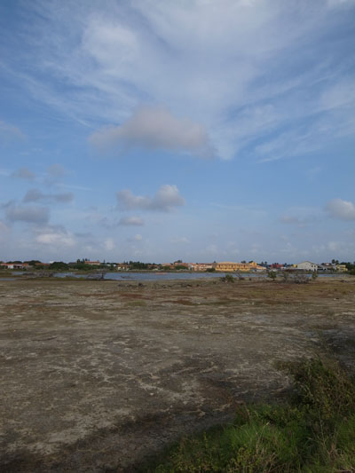 R0015353.JPG