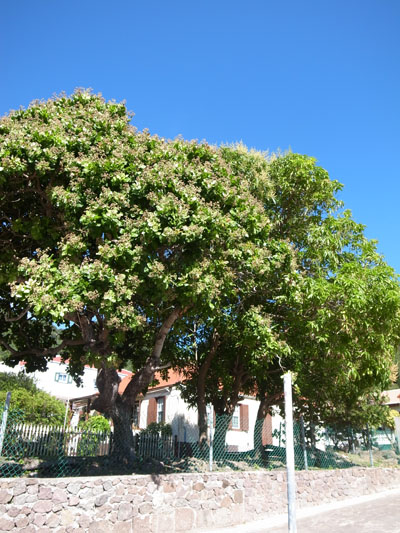 R0015485.JPG