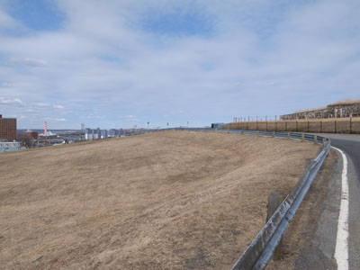 40.JPG