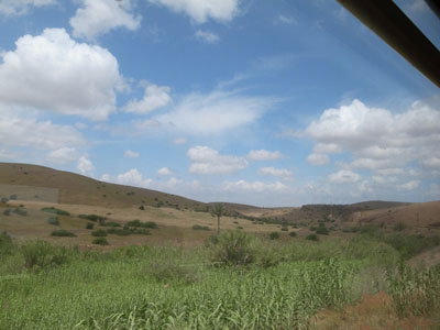 R0017586.JPG