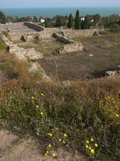 R0017643.JPG