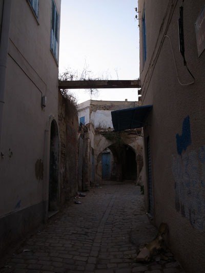 R0017661.JPG