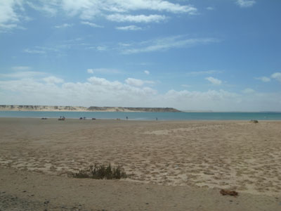 R0018096.JPG