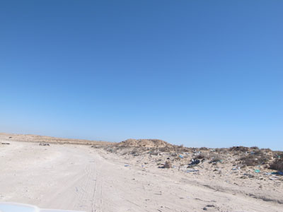 R0018115.JPG