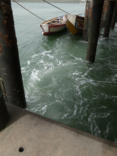 R0018650.JPG
