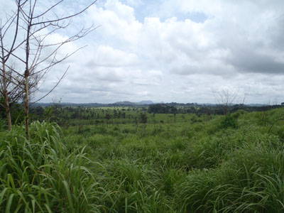 P5280054.JPG