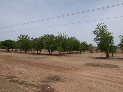 R0019284.JPG