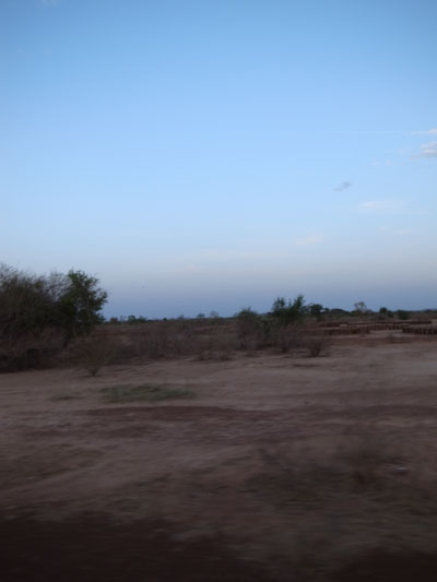 R0019299.JPG