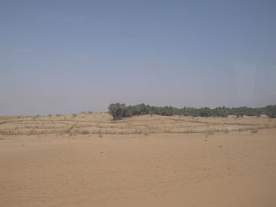R0019383.JPG