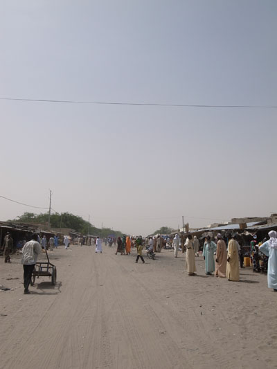 R0019484.JPG