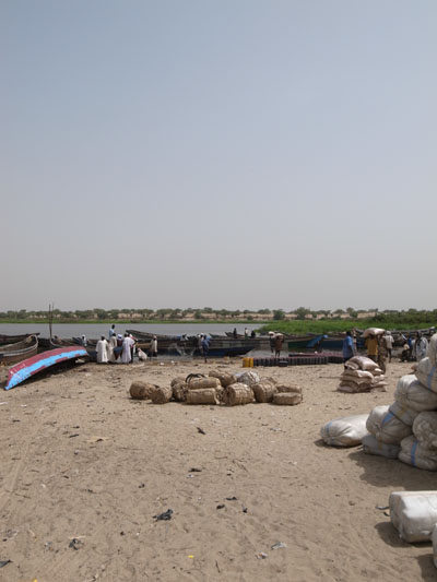 R0019486.JPG