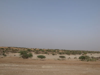 R0019507.JPG