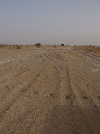 R0019508.JPG