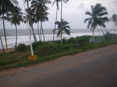 R0019828.JPG