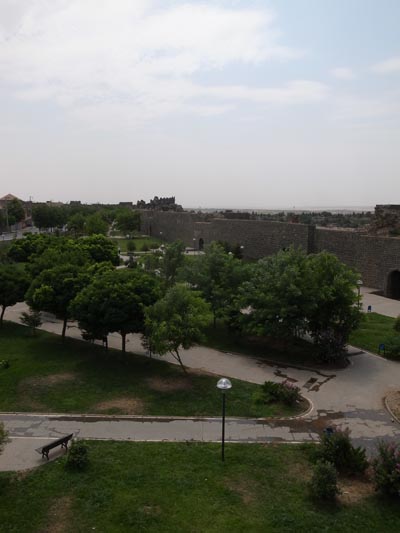 010.JPG