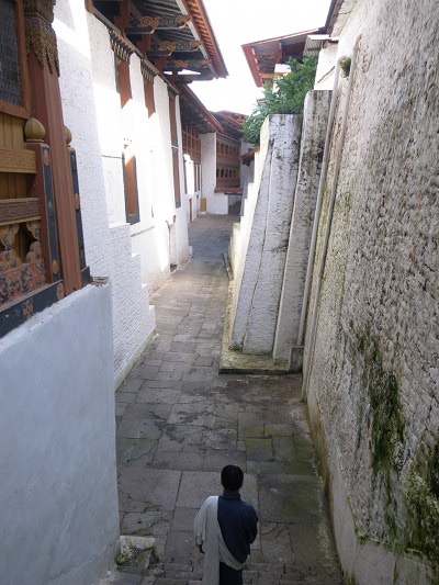 R0021582.JPG
