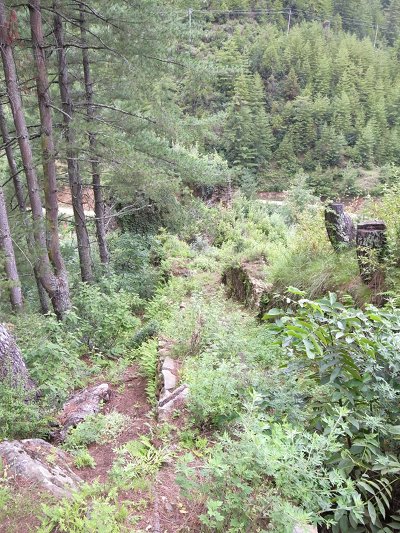 R0021773.JPG