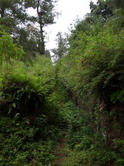 R0021778.JPG