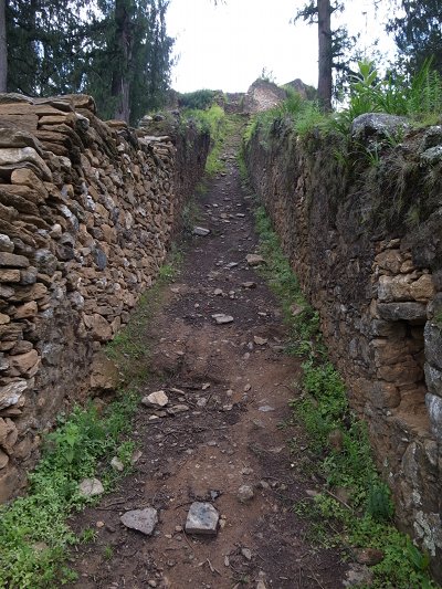 R0021786.JPG