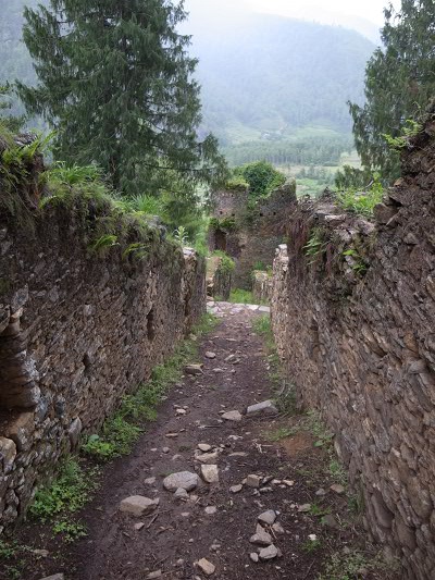 R0021787.JPG