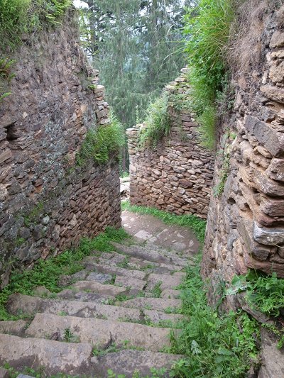R0021790.JPG
