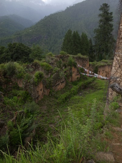 R0021807.JPG