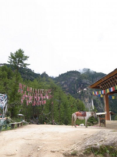 R0021716.JPG
