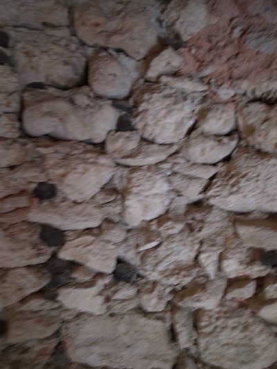 R0025450.JPG