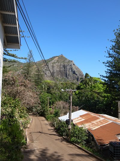 R0024651 のコピー.JPG