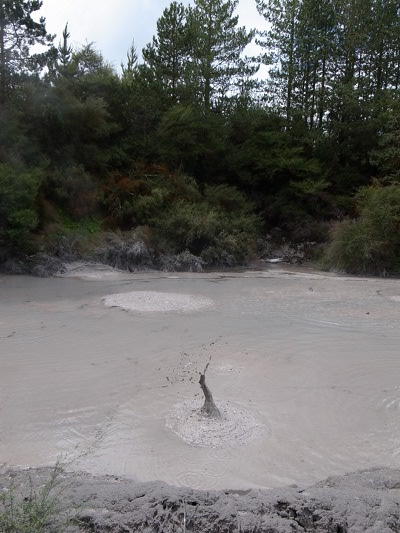 R0026243.JPG