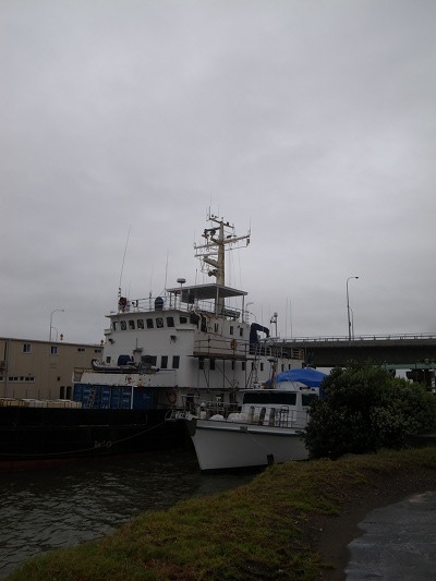 R0026259.JPG