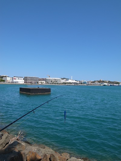 R0026375.JPG