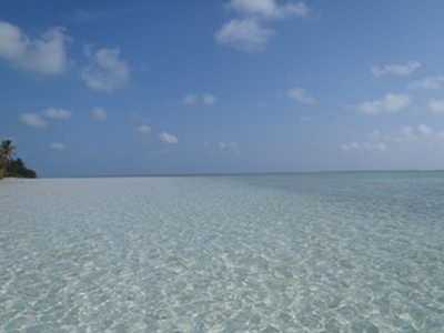 PA230134.JPG