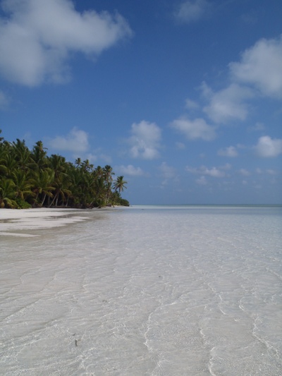 PA230161.JPG