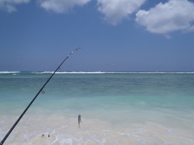 PA230163.JPG