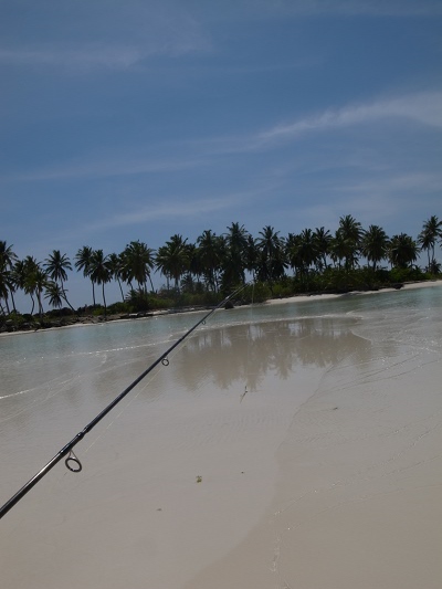 R0026680.JPG