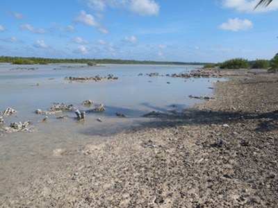 R0026832.JPG