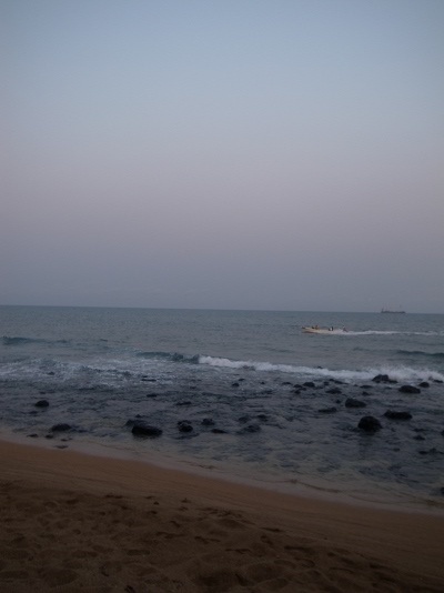R0028008.JPG