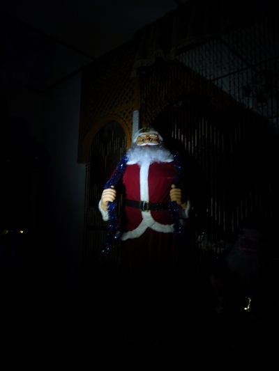 R0028389.JPG