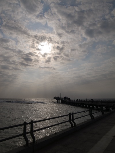 R0029161.JPG