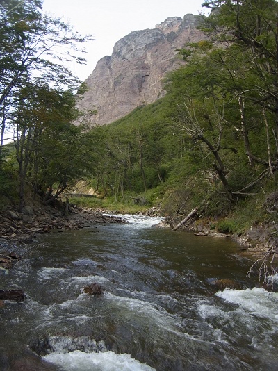 RIMG0036.JPG