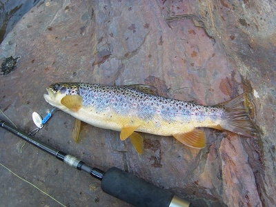 RIMG0040.JPG