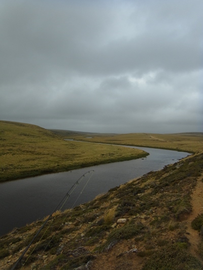 RIMG0055.JPG