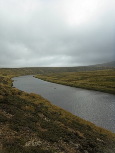 RIMG0056.JPG