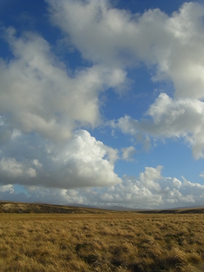 RIMG0059.JPG