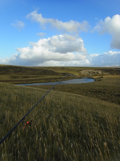 RIMG0061.JPG