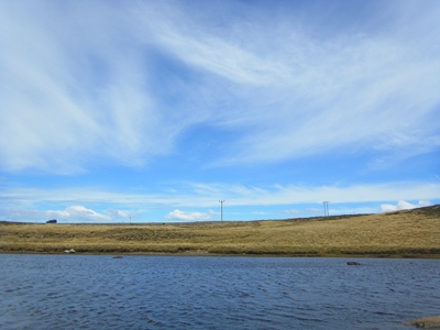 RIMG0076.JPG