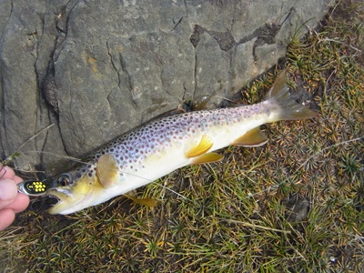 RIMG0079.JPG