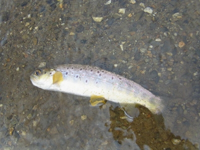 RIMG0084.JPG